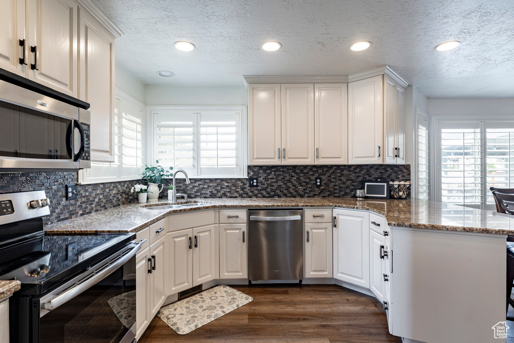 Kitchen featuring a peninsula, appliances with stainless steel finishes, plenty of natural light, and a sink