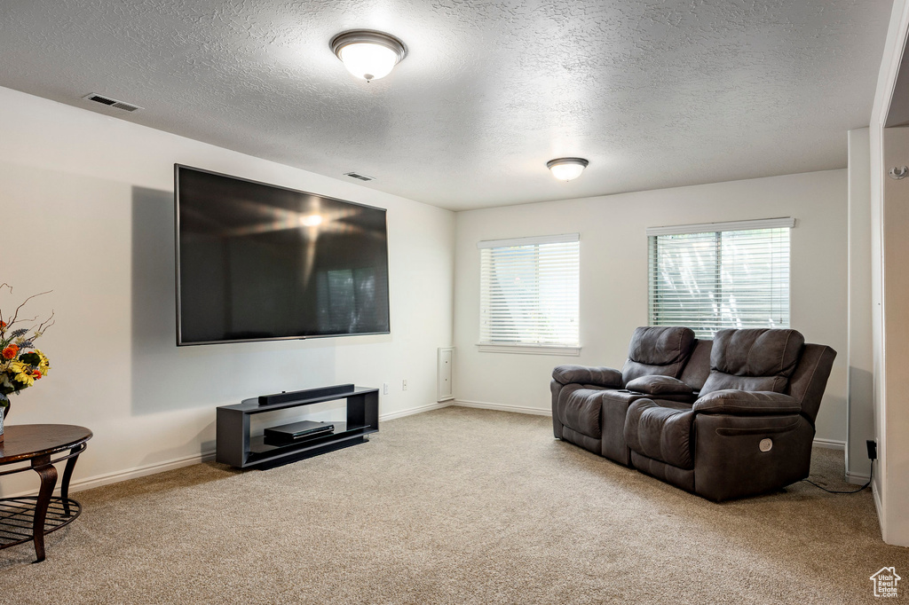 Carpeted living room with a textured ceiling and baseboards