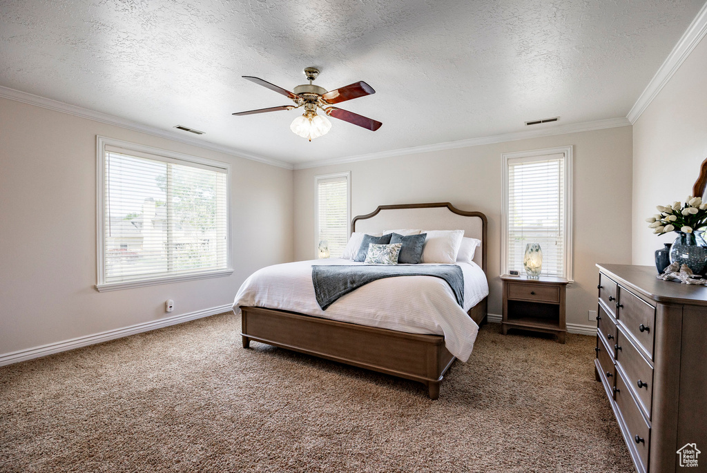 Bedroom featuring crown molding, a textured ceiling, baseboards, carpet, and a ceiling fan