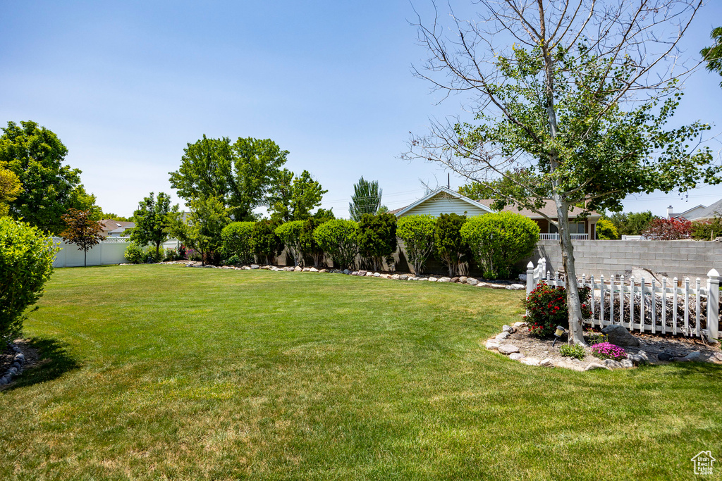 View of yard