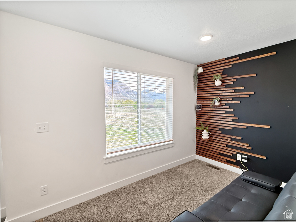 Interior space with carpet floors, baseboards, and visible vents