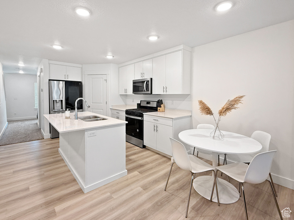 Kitchen featuring light wood-style floors, a sink, light countertops, and stainless steel appliances