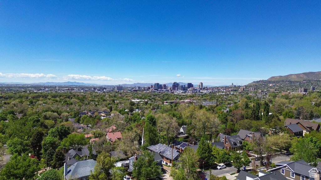 Aerial view with a mountain view