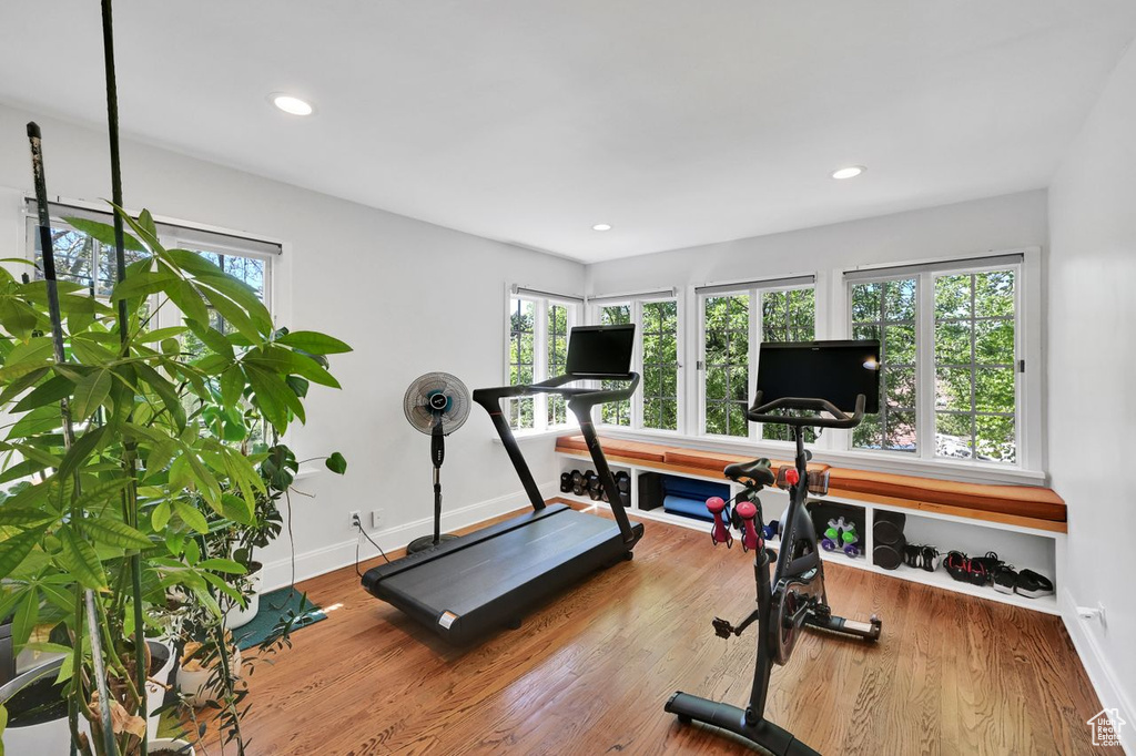 Workout room featuring baseboards, plenty of natural light, and wood finished floors