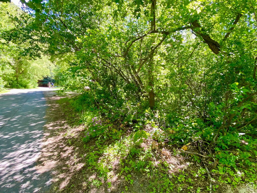 View of nature