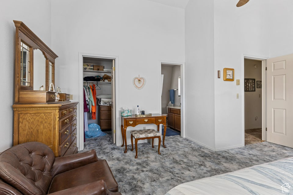 Bedroom featuring a high ceiling, carpet, a closet, and a spacious closet