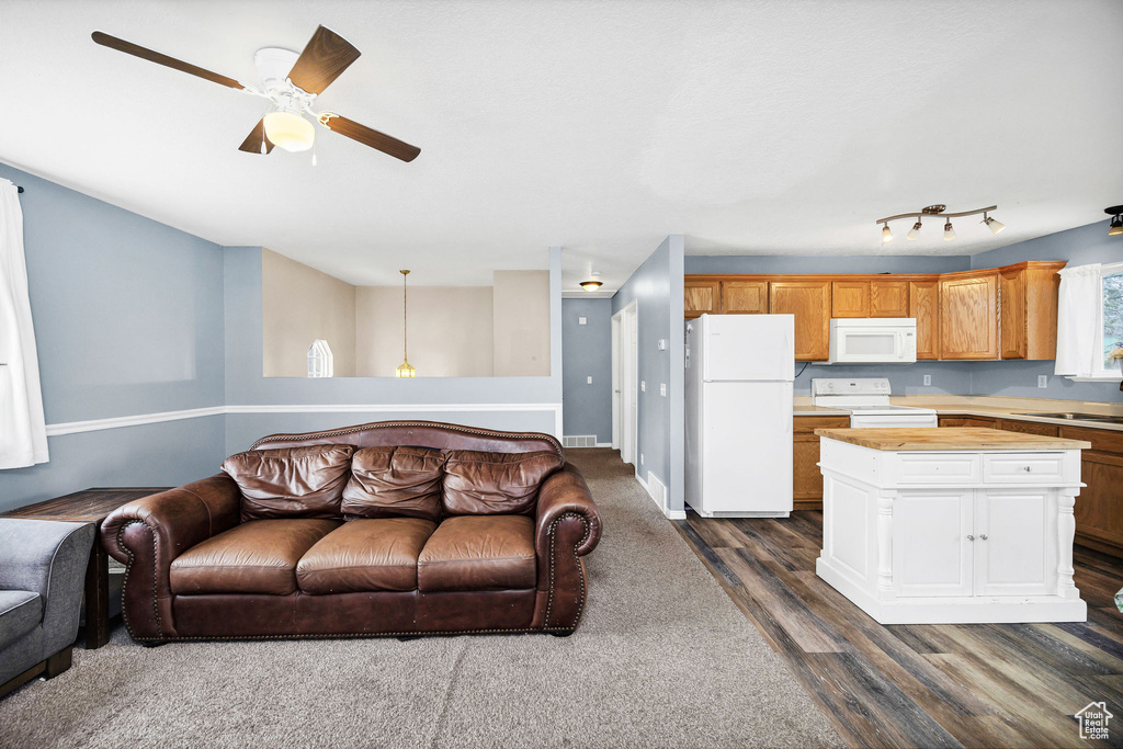 Living area featuring a ceiling fan, visible vents, and dark wood-type flooring