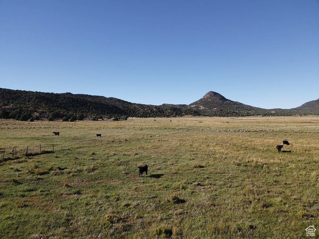 Mountain view featuring a rural view