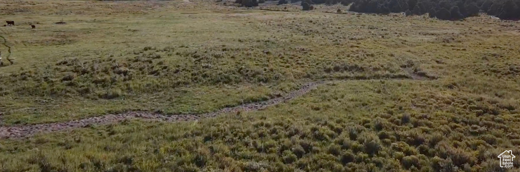 View of nature with a rural view