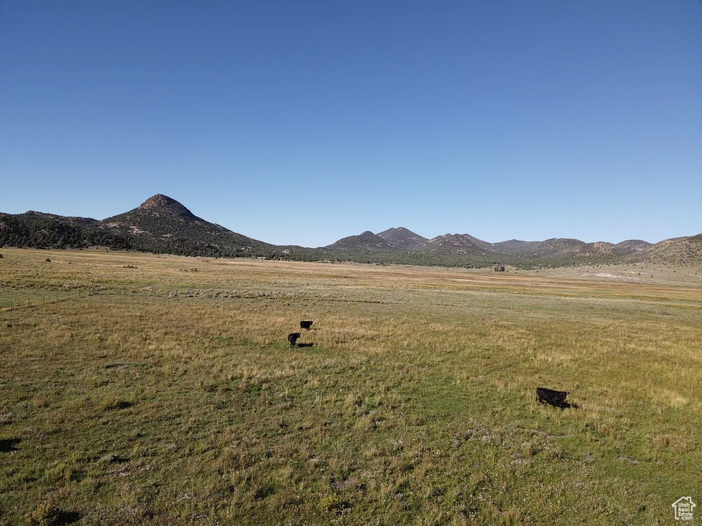 Mountain view