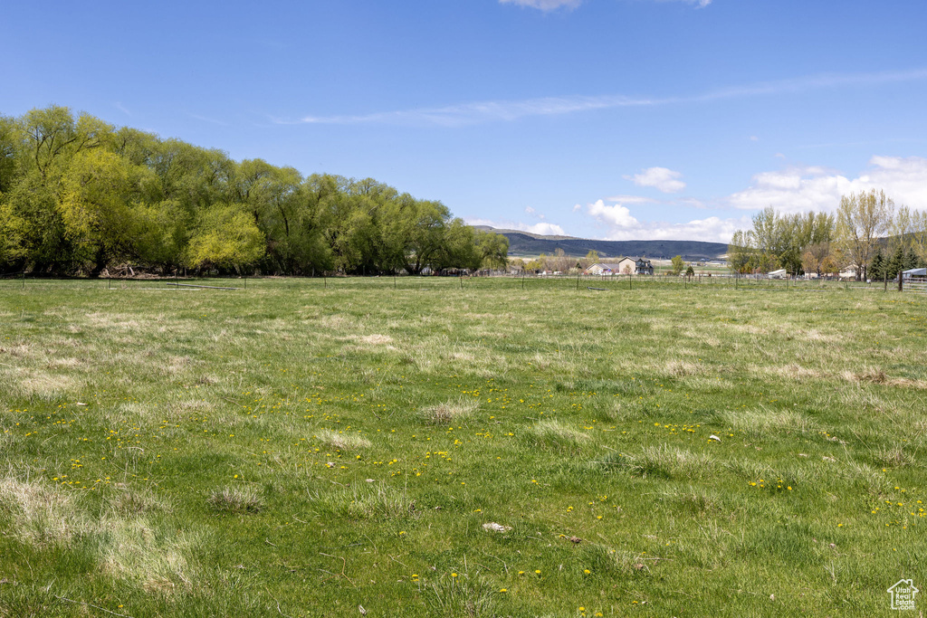 View of yard with a mountain view and a rural view