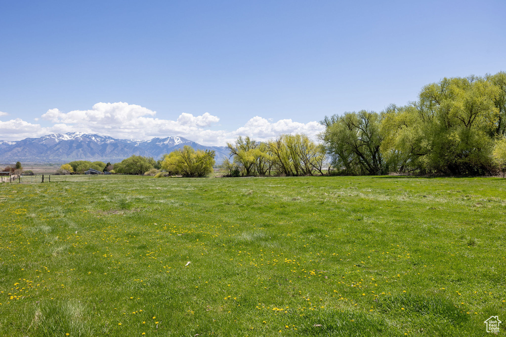 View of yard with a rural view and a mountain view