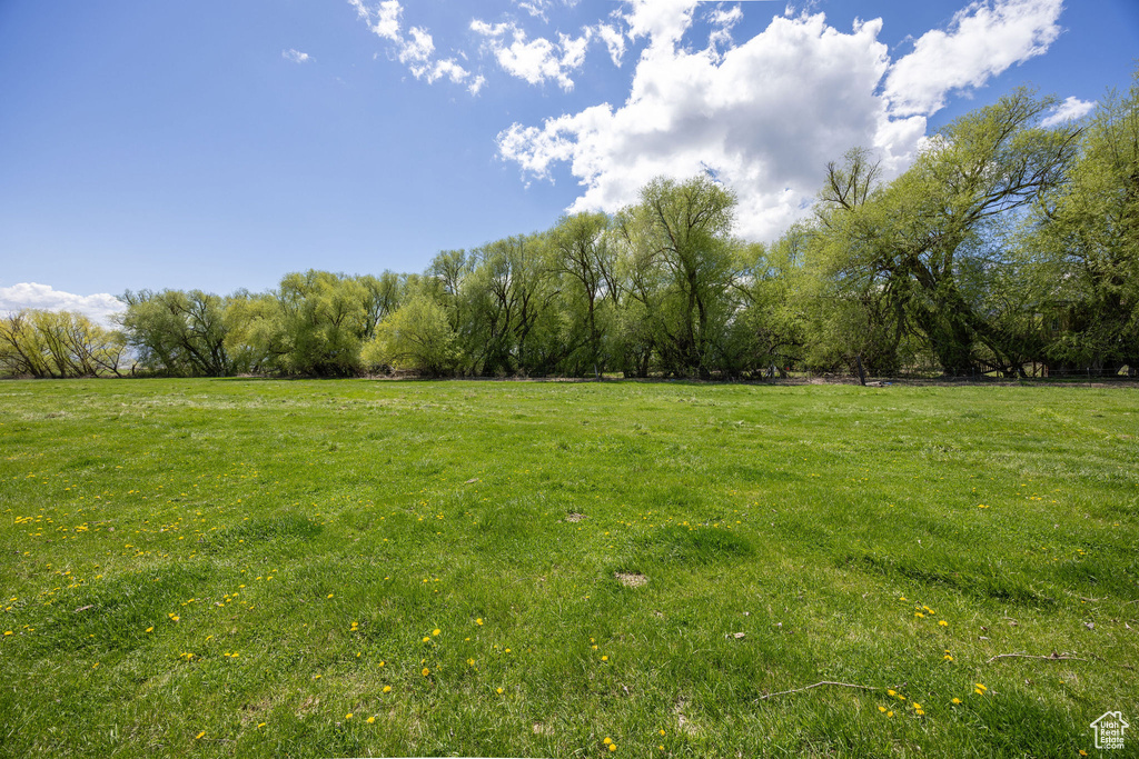 View of yard featuring a rural view