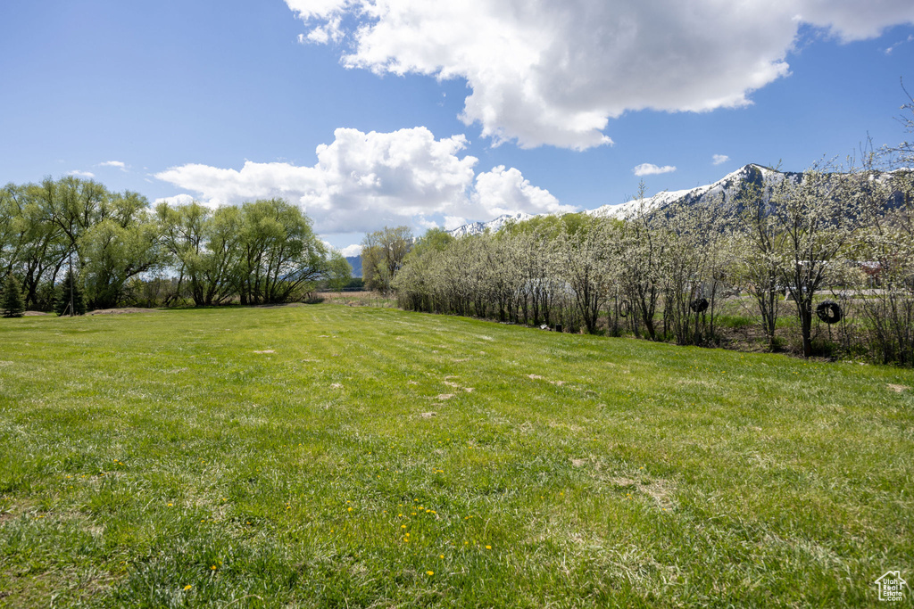 View of yard with a mountain view and a rural view