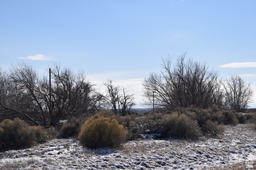 View of snowy view