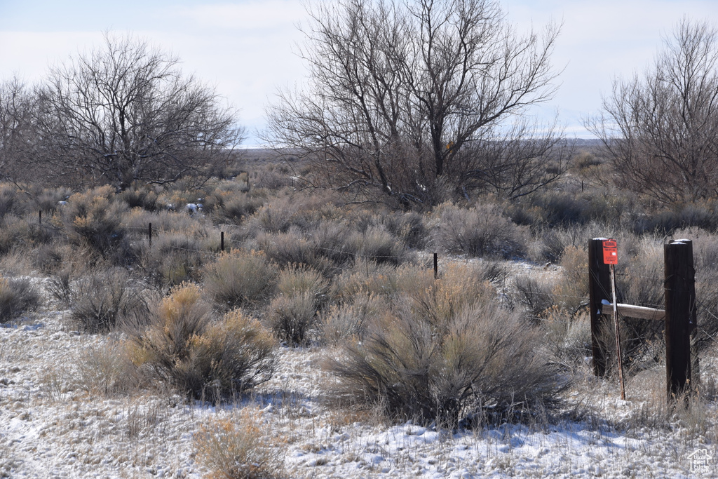 View of snow covered land