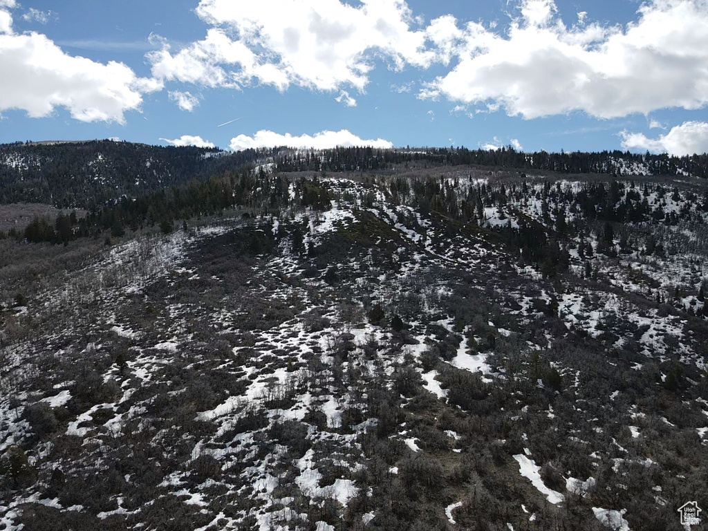 Snowy landscape featuring a mountain view