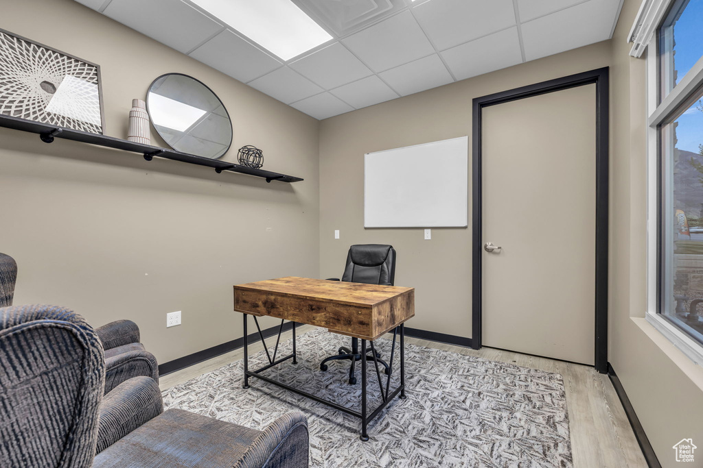Office with baseboards, a drop ceiling, and light wood-style flooring