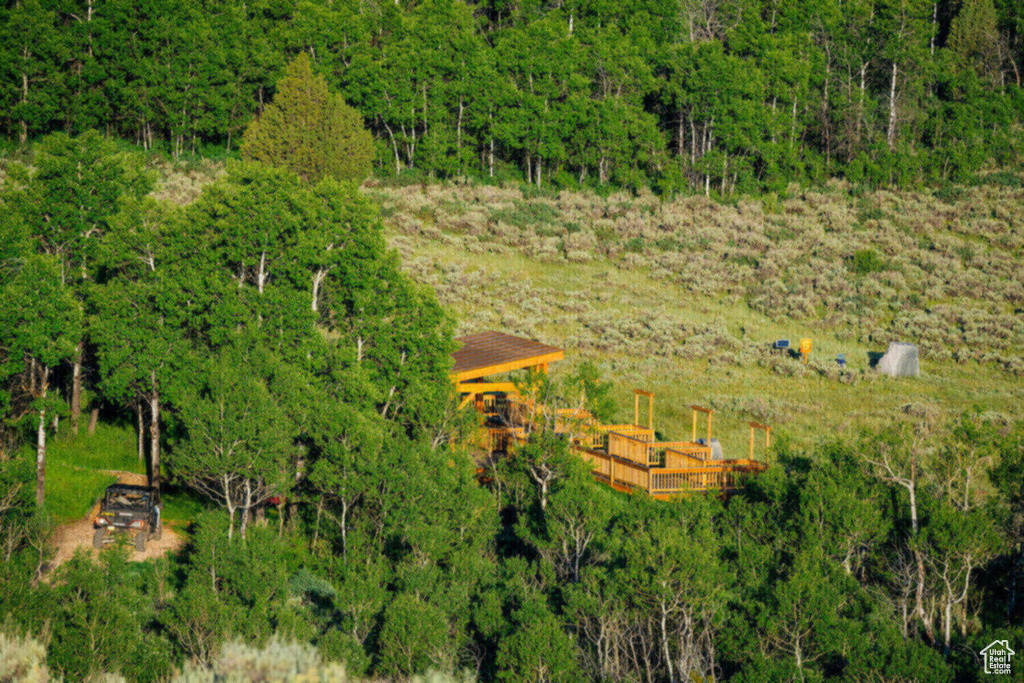 Bird's eye view with a wooded view