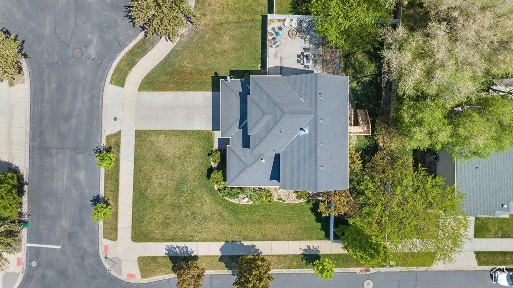 Bird\'s eye view