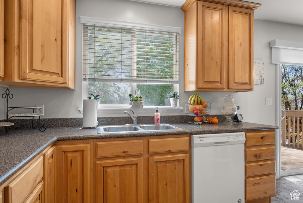 Kitchen featuring dark countertops, a sink, and dishwasher