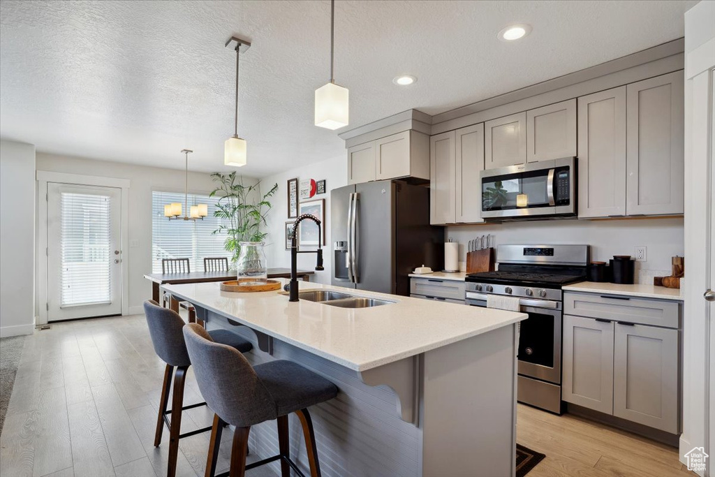 Kitchen with a sink, appliances with stainless steel finishes, gray cabinets, and a center island with sink