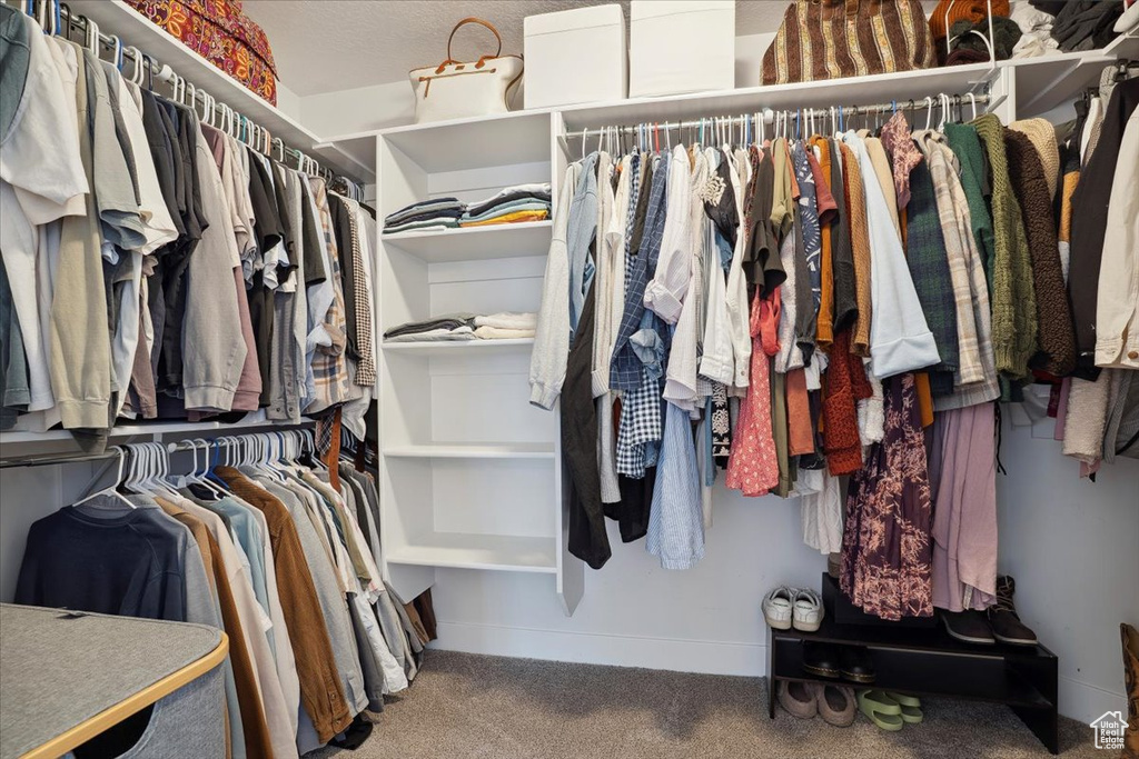 Walk in closet with carpet flooring