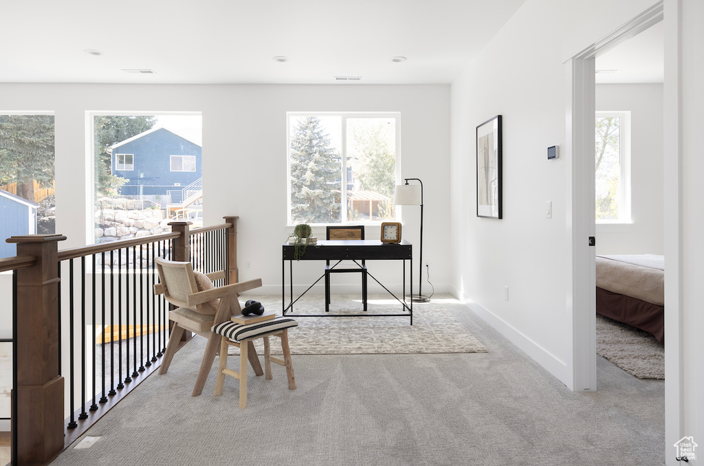 Office space featuring carpet floors, baseboards, and visible vents
