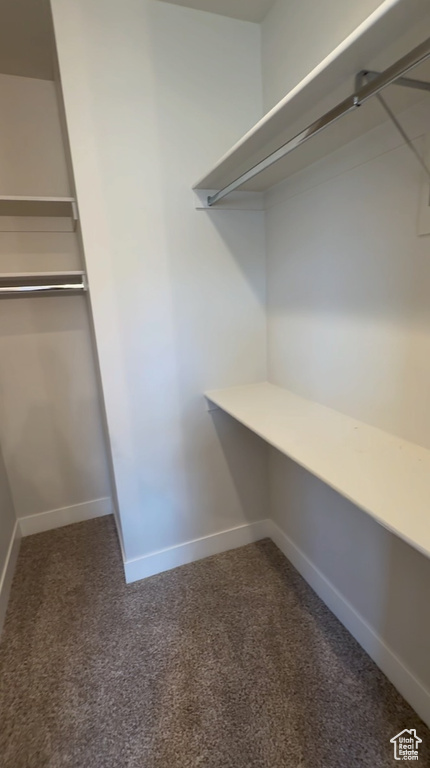 Spacious closet with carpet floors