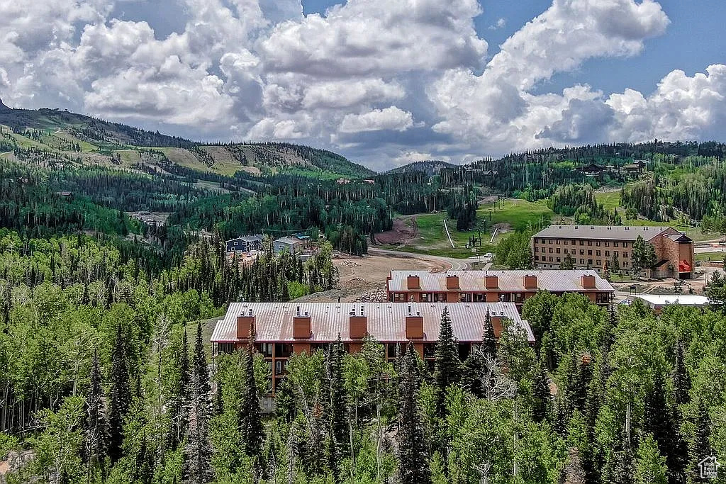 Mountain view with a forest view
