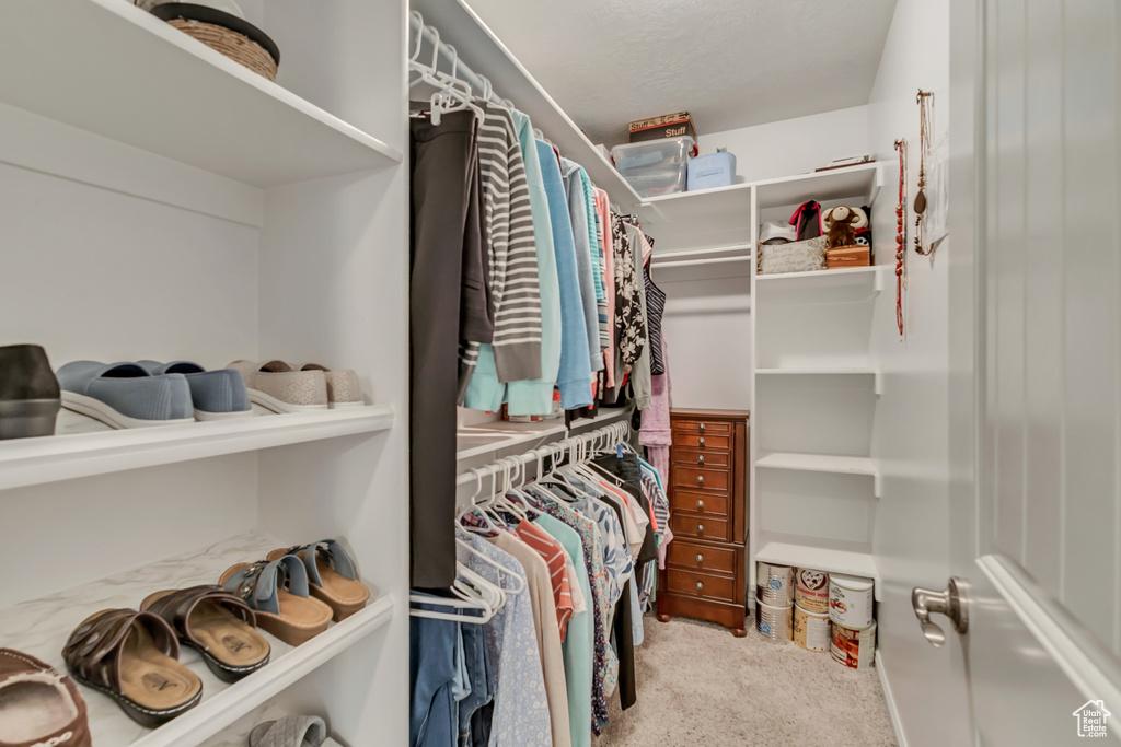 Walk in closet featuring carpet floors