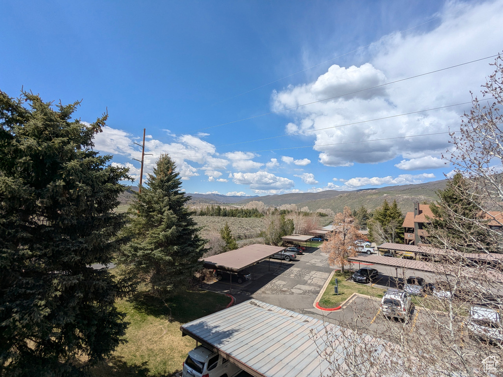 Mountain view