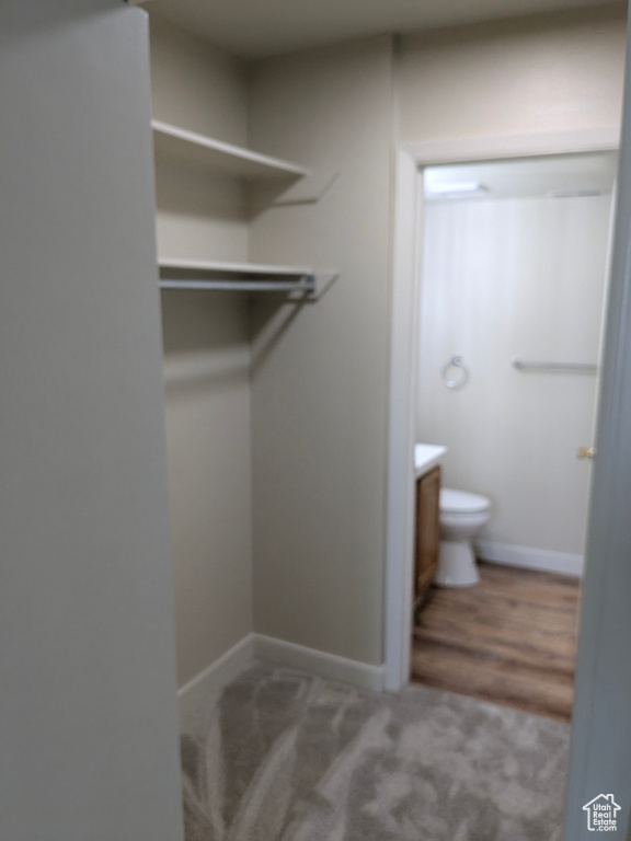 Spacious closet with carpet flooring