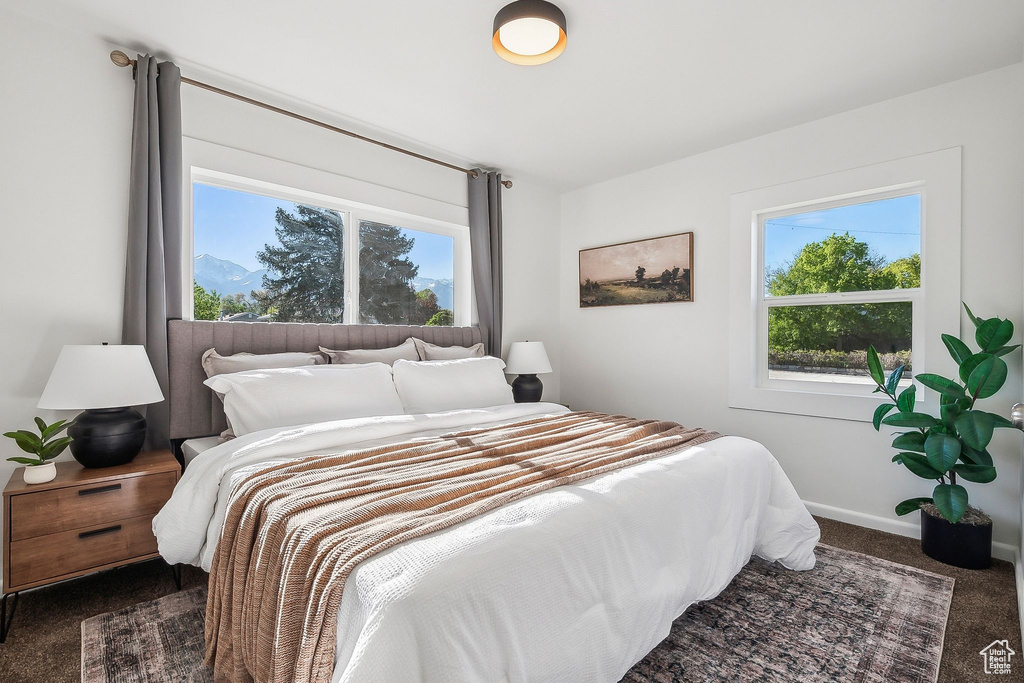 Carpeted bedroom featuring baseboards and multiple windows