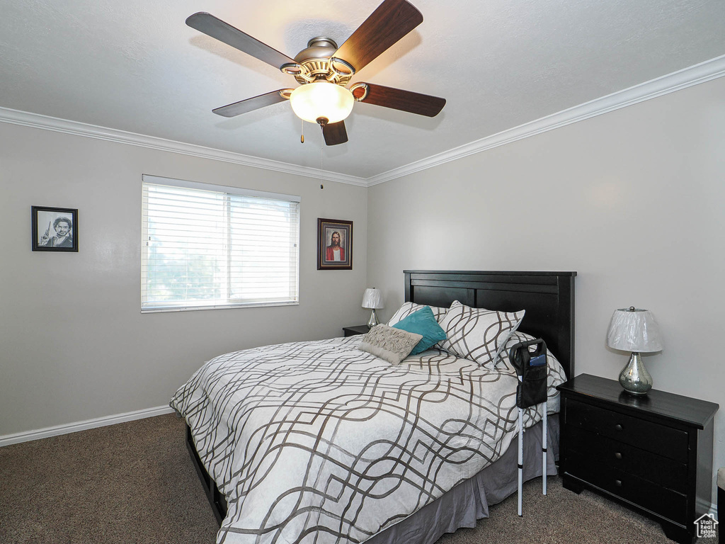 Bedroom with carpet floors, crown molding, ceiling fan, and baseboards