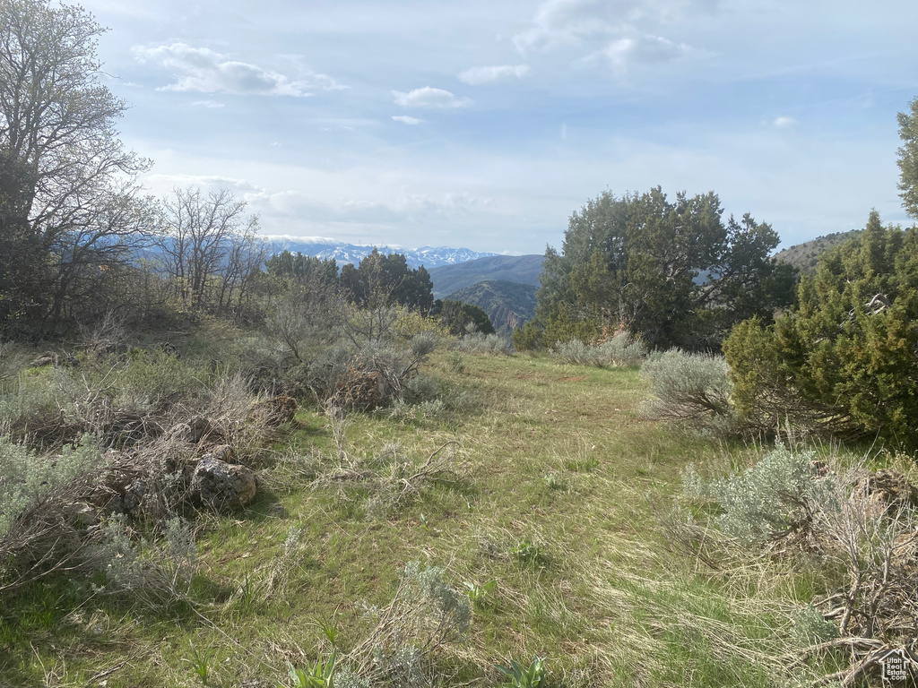 View of mountain feature