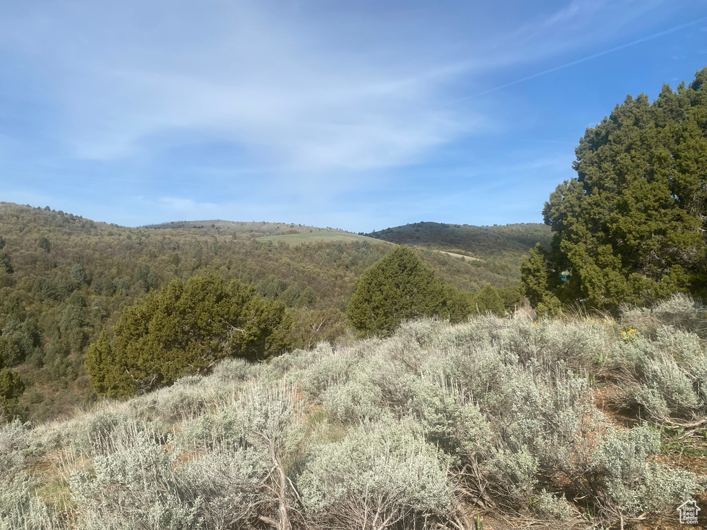 Property view of mountains