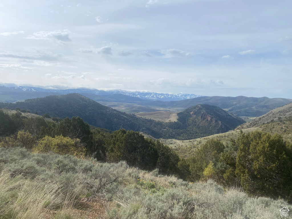 Mountain view