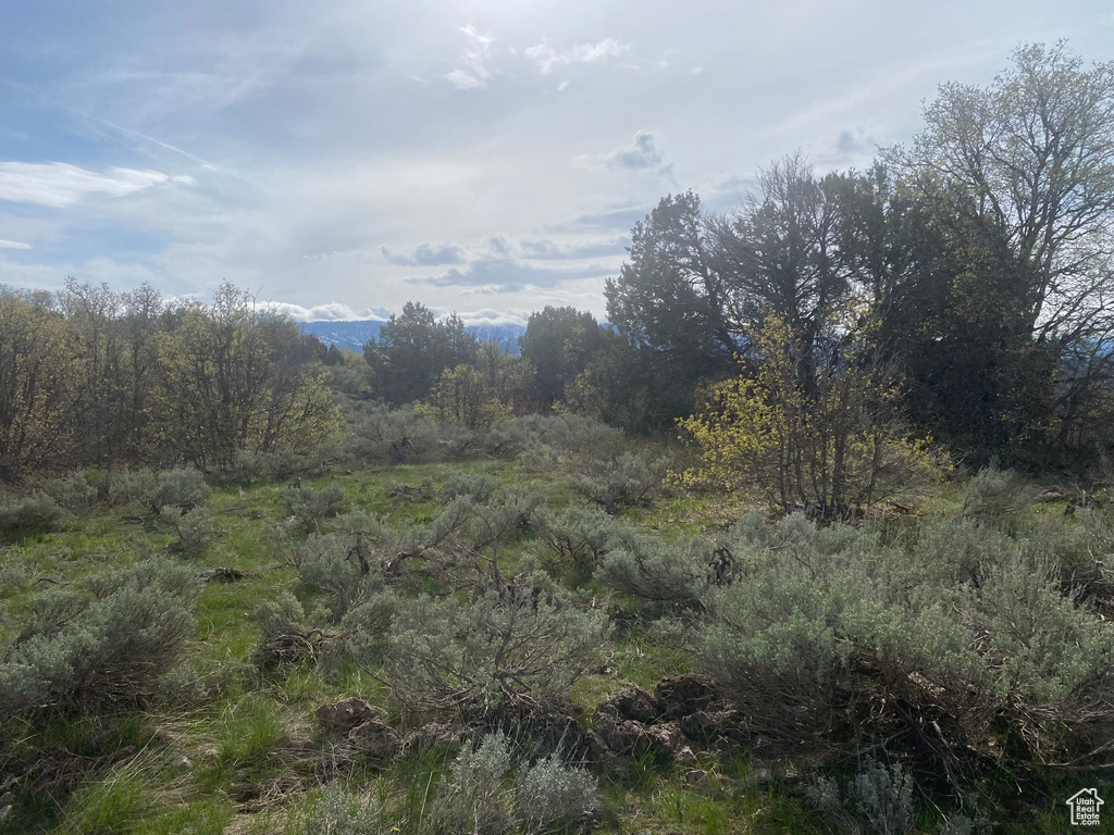 View of nature
