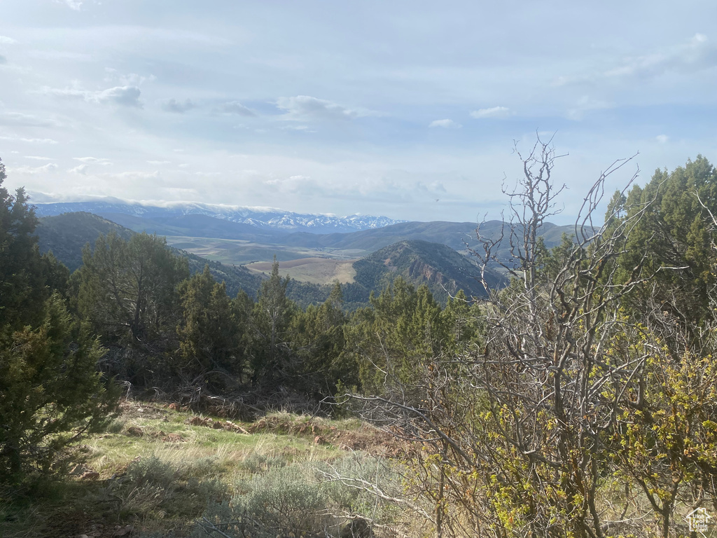 View of mountain feature featuring a forest view