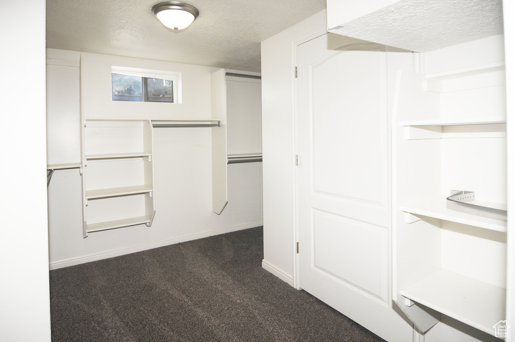 Spacious closet featuring dark carpet