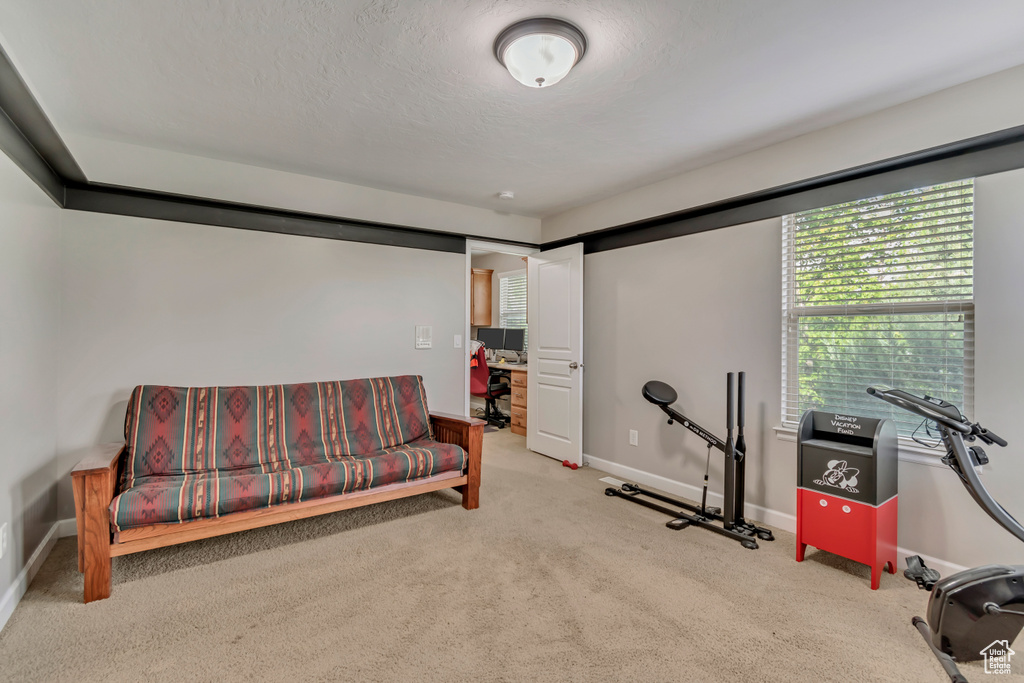 Workout room featuring baseboards and carpet