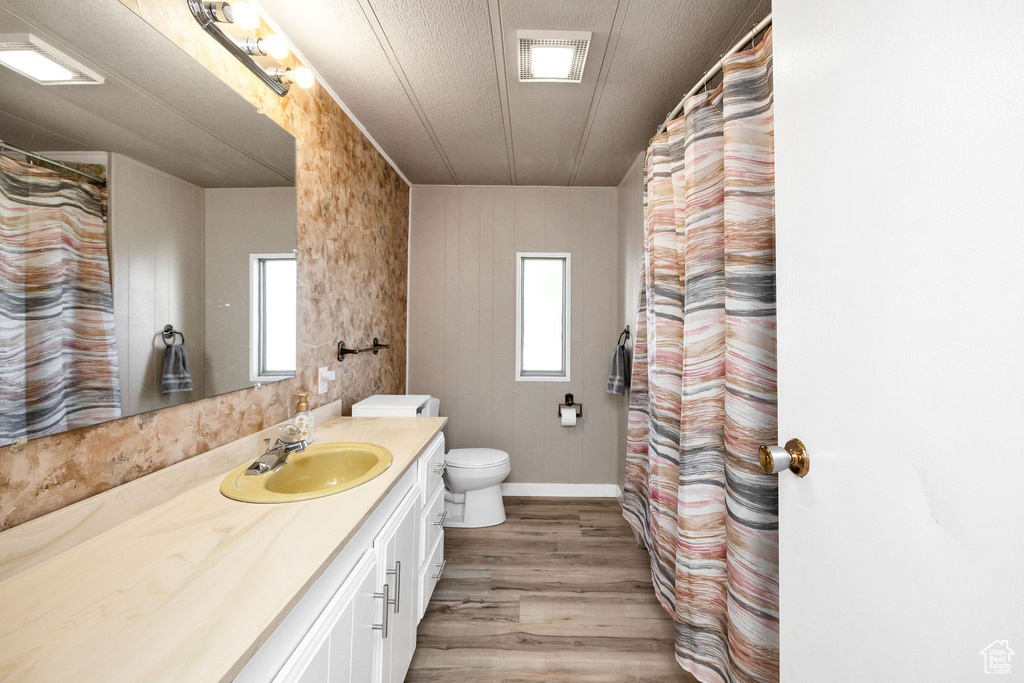 Full bathroom with vanity, wood finished floors, toilet, and a shower with curtain