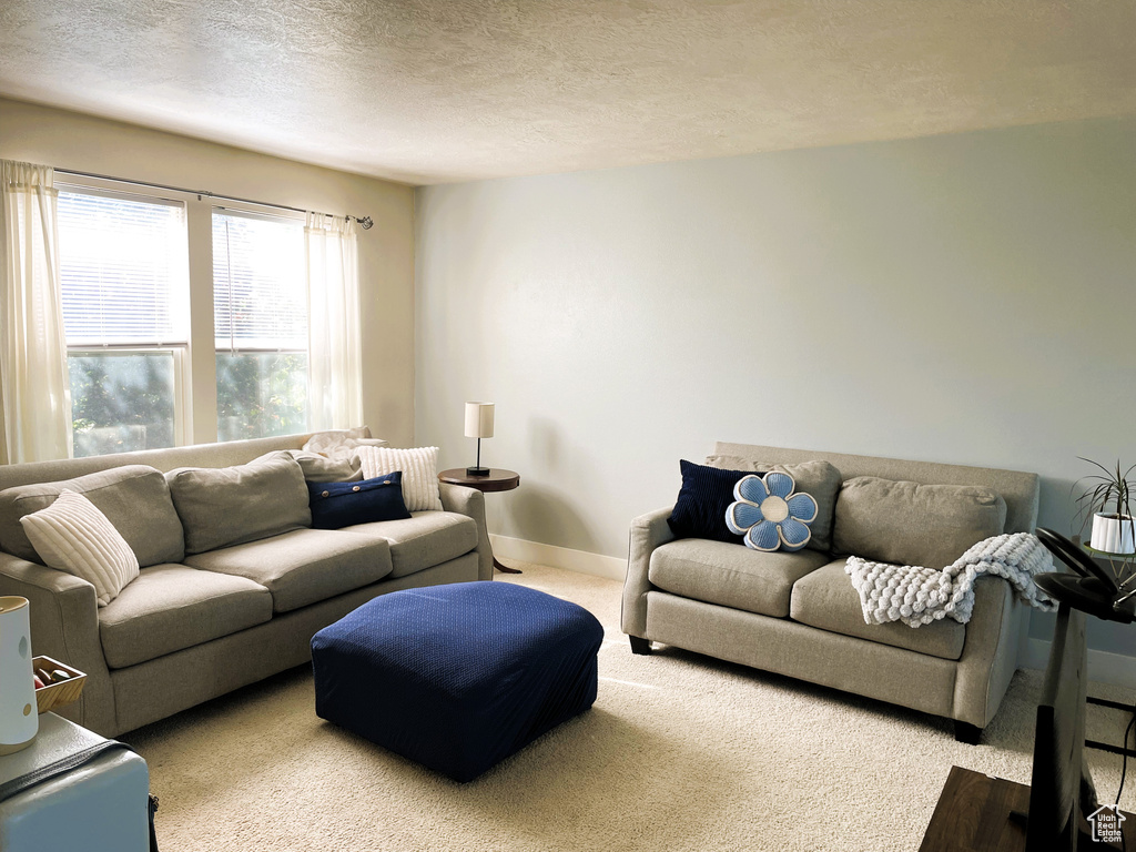 Living area with carpet floors, a textured ceiling, and baseboards