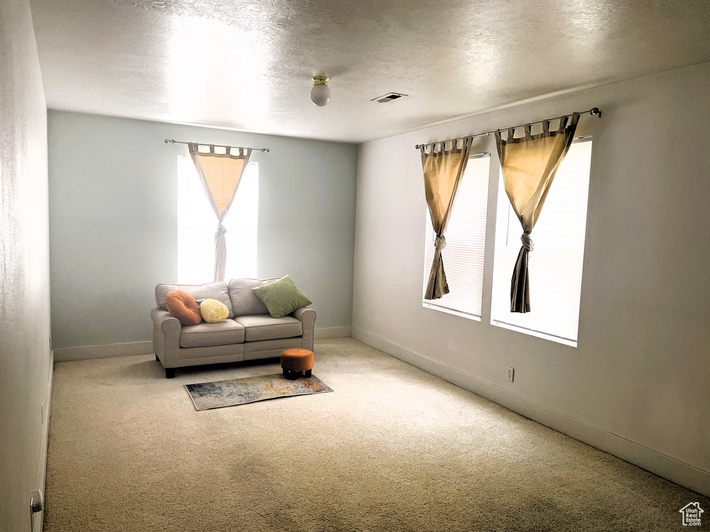 Living area featuring carpet floors, baseboards, a textured ceiling, and visible vents