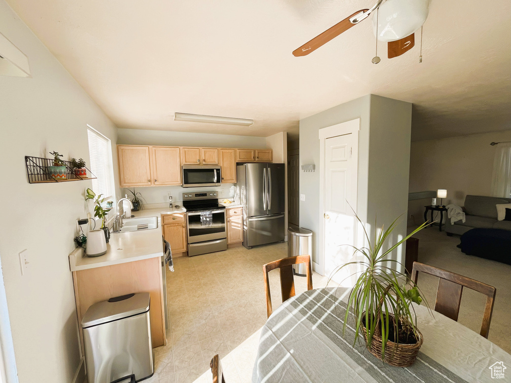 Kitchen featuring a sink, light brown cabinets, light countertops, a ceiling fan, and appliances with stainless steel finishes