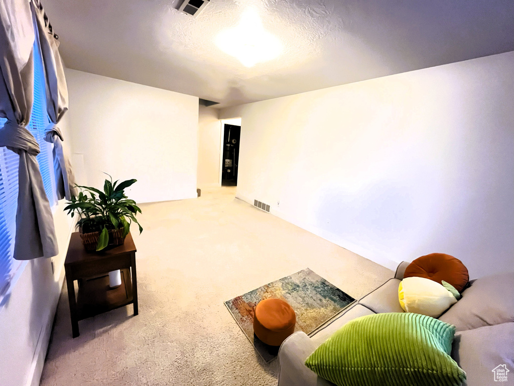 Carpeted living area featuring visible vents
