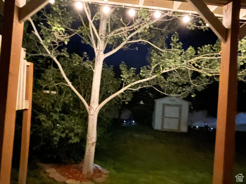 View of yard at night