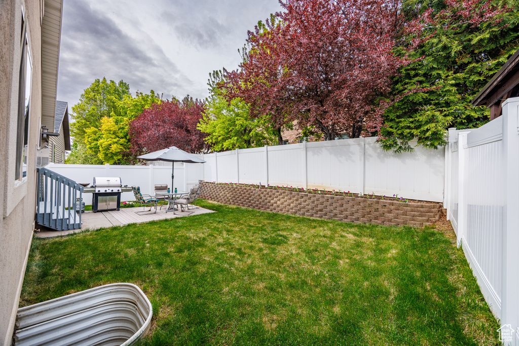 View of yard with a patio and a fenced backyard