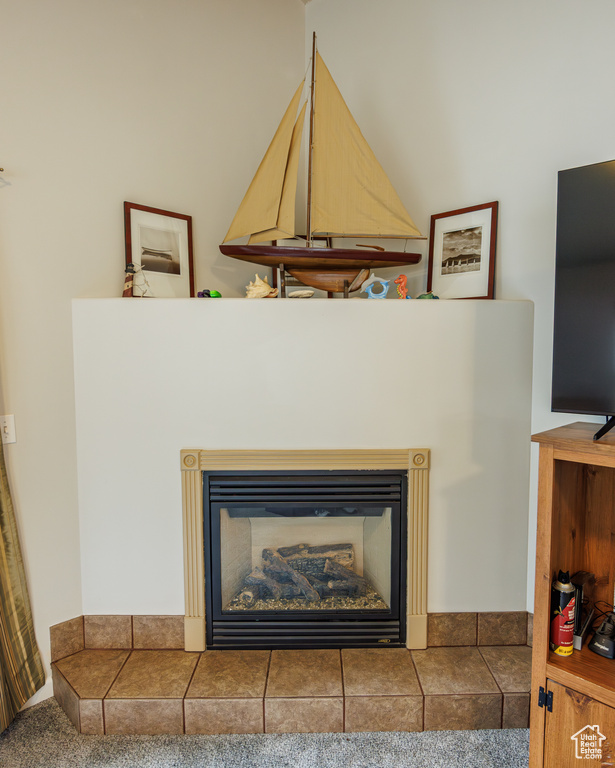 Details with carpet floors and a fireplace